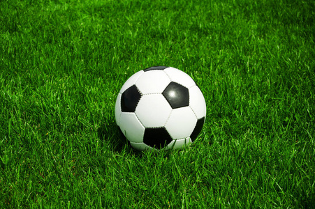 合买组织者协作分析